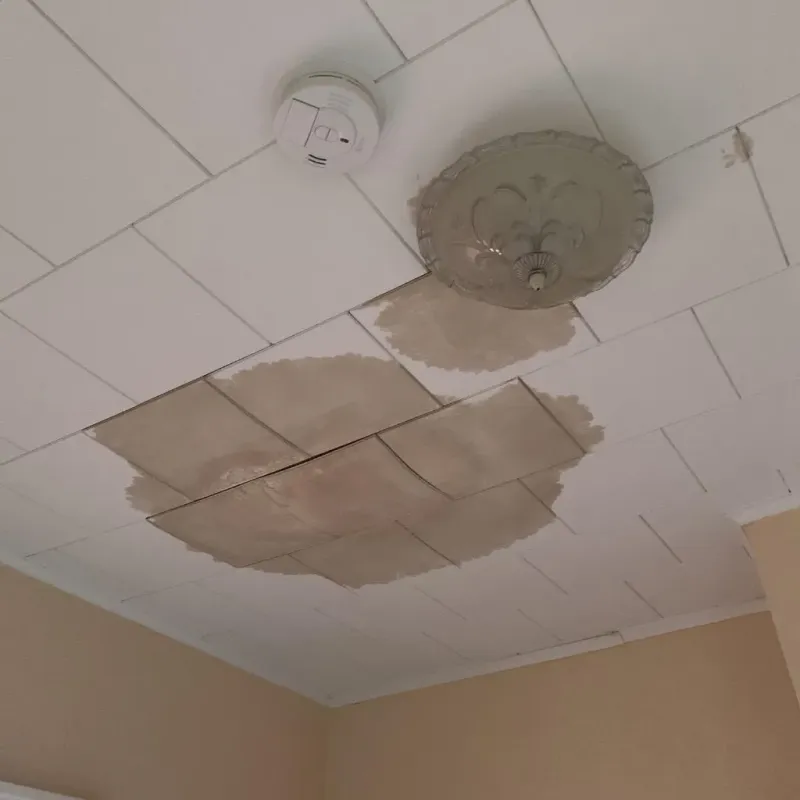 Ceiling Water Damage Repair in Walpole, MA